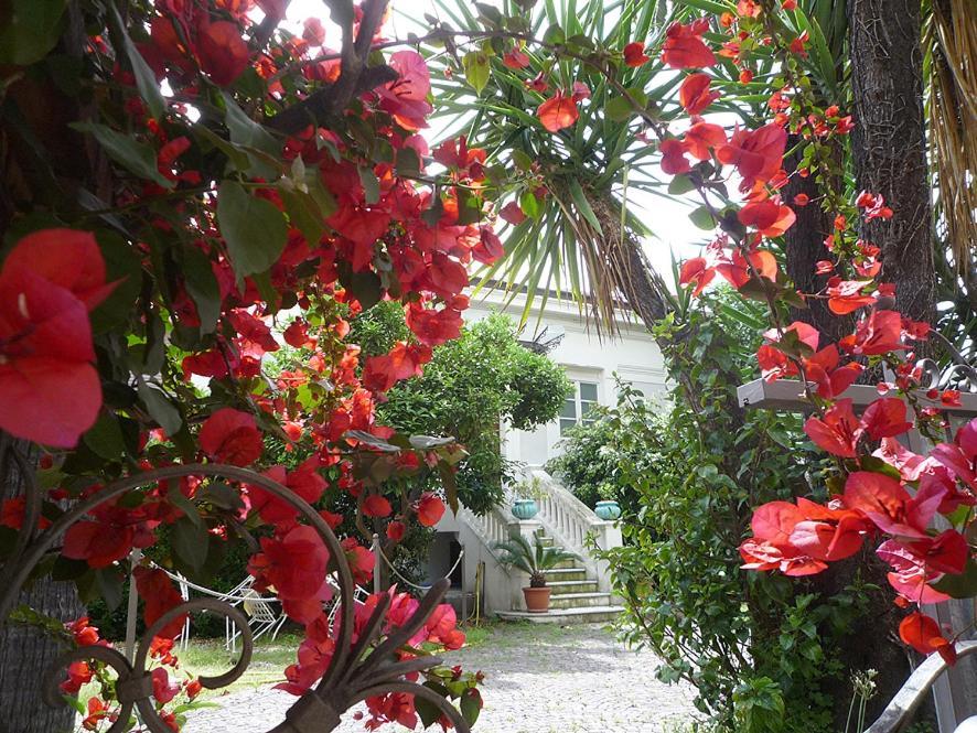 Palais La Nasse Hotel Sanremo Exterior photo